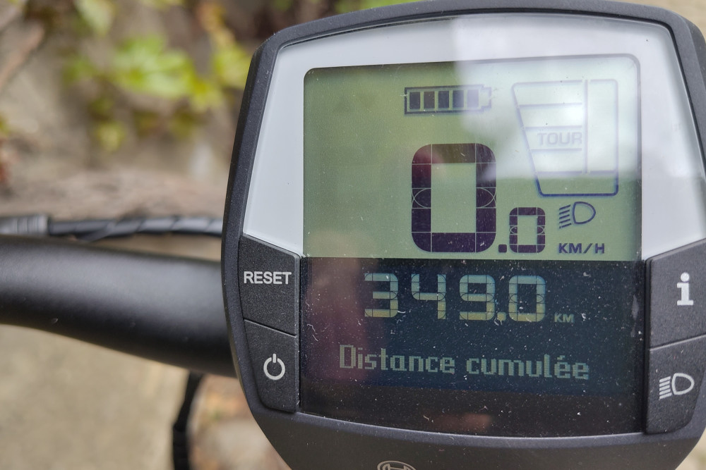 Diamant Mandara homme taille L