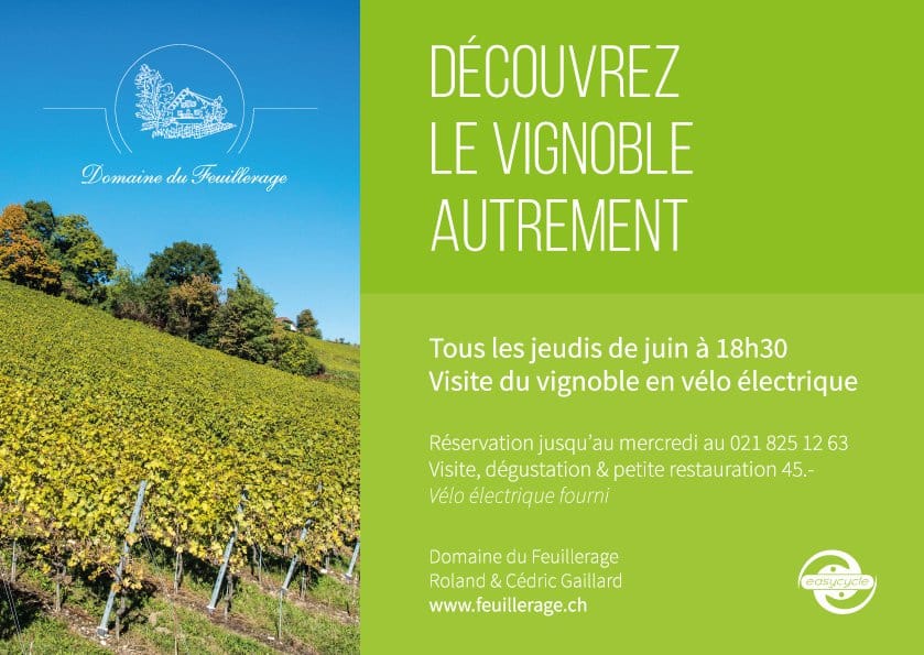 Découvrez le vignoble autrement