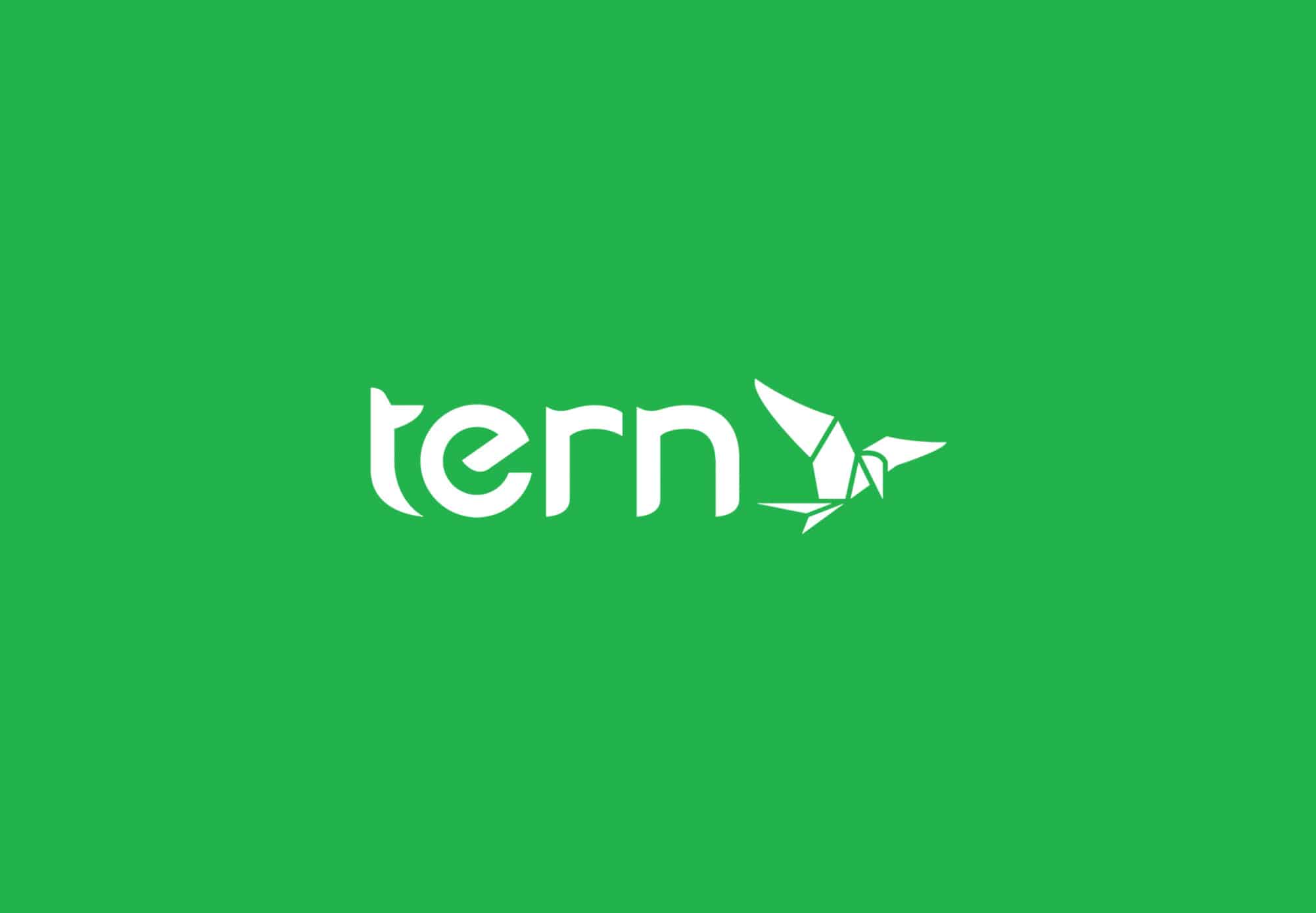 easycycle_choix_technologiques_Tern