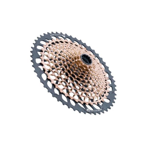 SRAM CASSETTE XG-1299 12 VITESSES-1052-cooper-profil